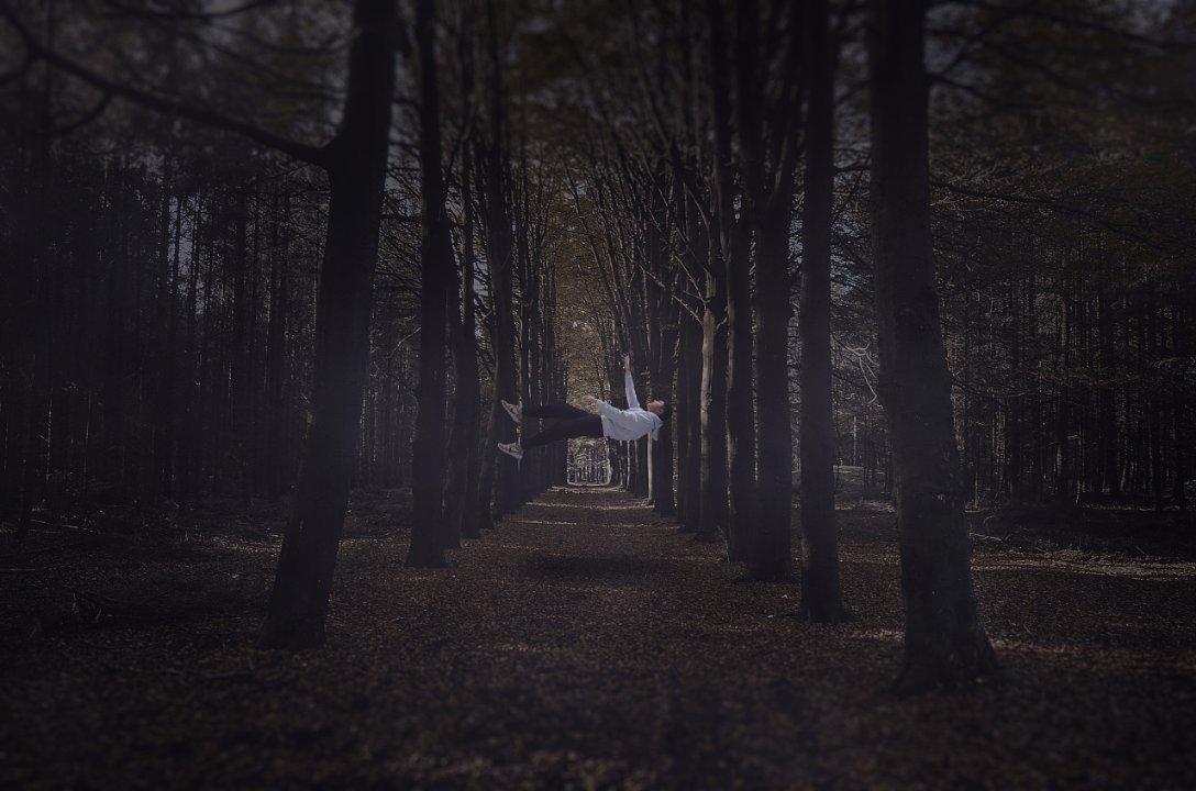 《幻兽帕鲁》幻悦蝶捕捉位置介绍