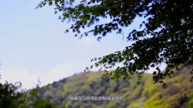 东吴国力是蜀汉两倍，为何陆逊不北伐？