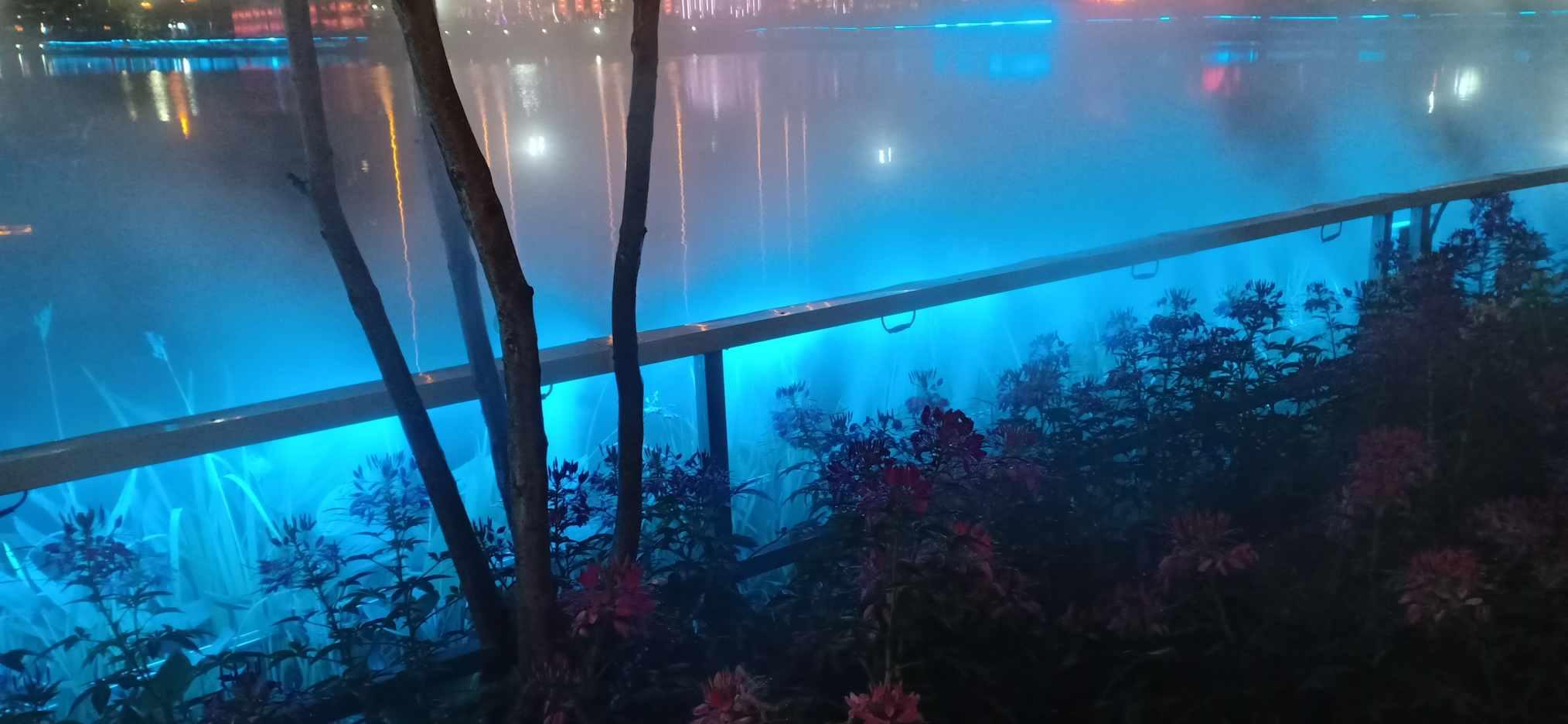 矿工打地鼠