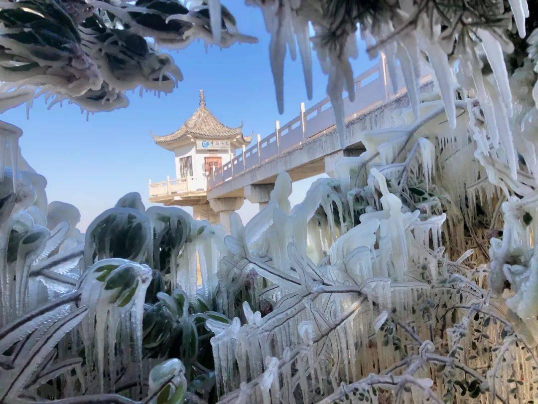 汽油滤芯的更换周期是多少，和机油机滤一样是5000公里？游戏画面